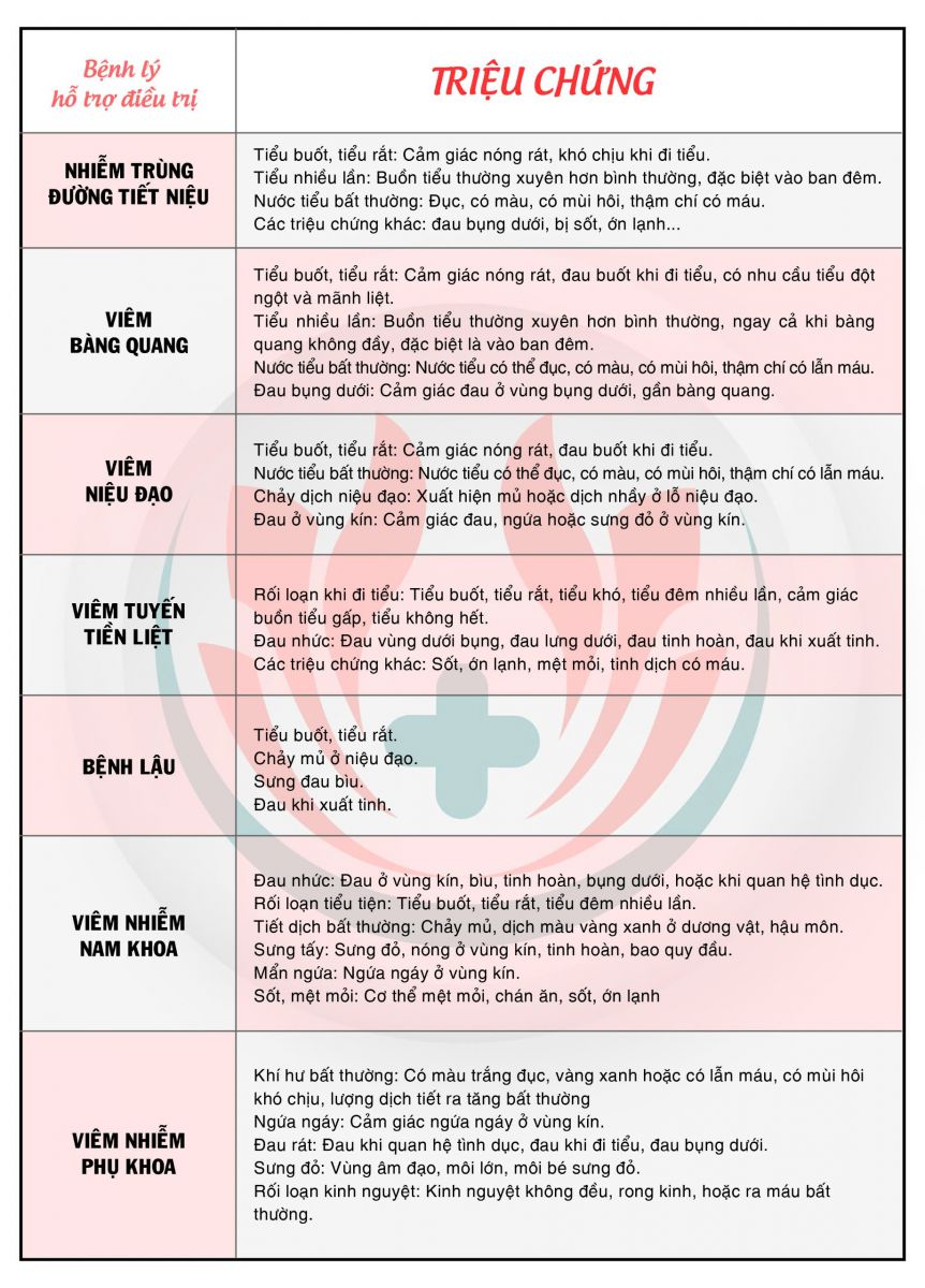 Các bệnh tiết niệu đang được điều trị tại Phòng khám Đa khoa Tháng Tám 